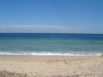 medium_08-05-06_052.jpg